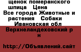 щенок померанского шпица › Цена ­ 45 000 - Все города Животные и растения » Собаки   . Ивановская обл.,Верхнеландеховский р-н